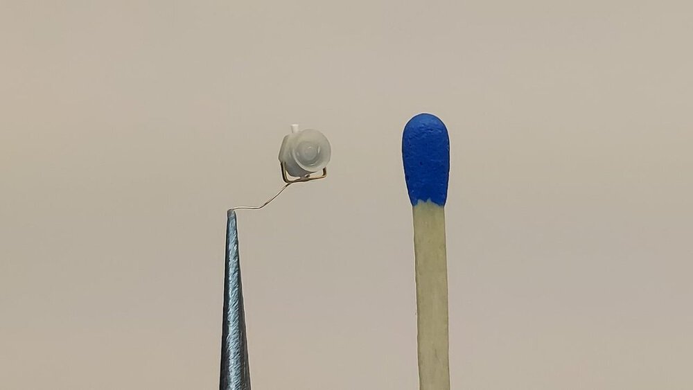 123.jpg
