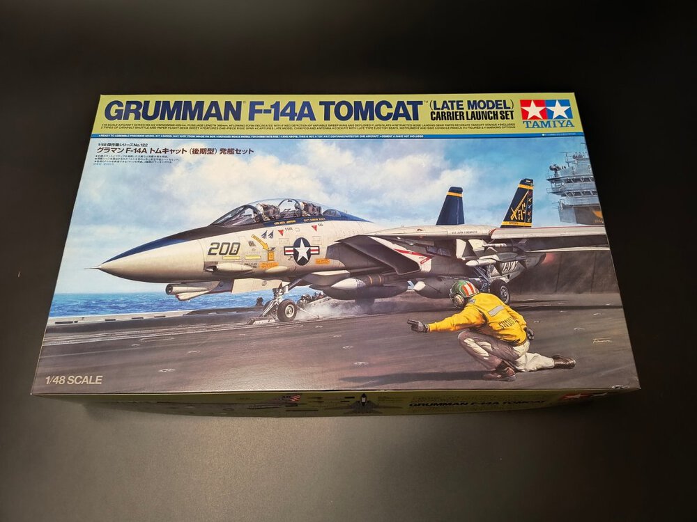 F-14a1.jpeg