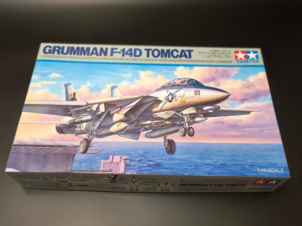 F-14d1.jpeg