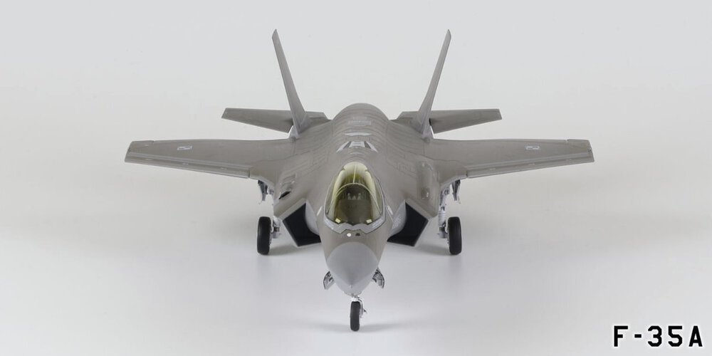 F-35Ag008.thumb.jpg.78785ddc88a64509e7bd7133857da40e.jpg