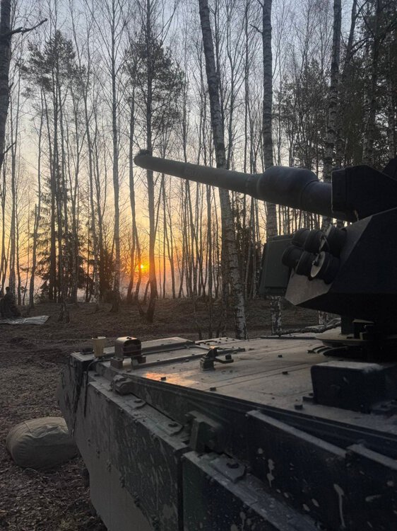 GRIZZLY-03.jpg