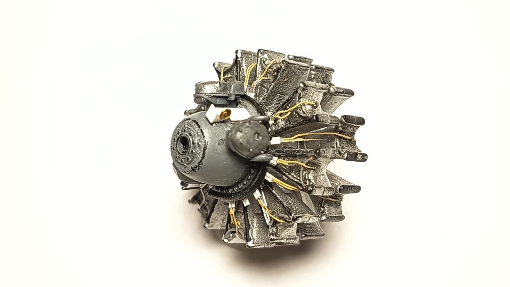 IMG_20260829_182824.thumb.jpg.86f80be102962aa5047566cbcde47f3e.jpg