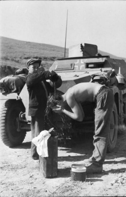 SdKfz_250_eastern_front_south_1942_2.jpg