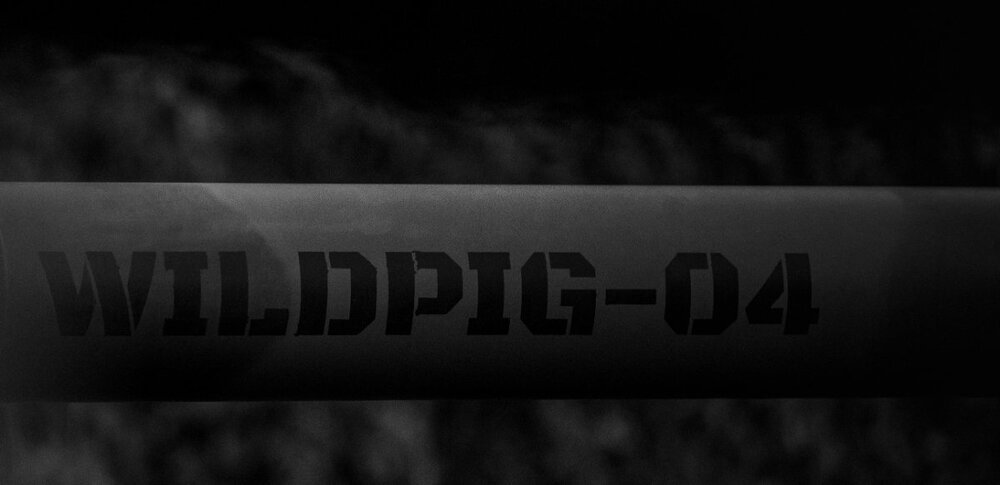 WILDPIG-04a.jpg