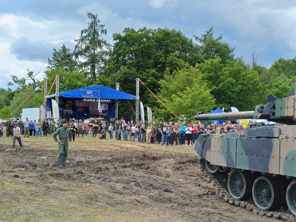 szerszeń 03.jpg