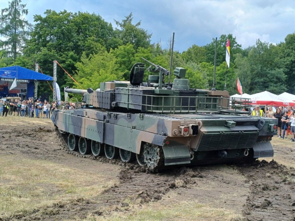 szerszeń 03a.jpg