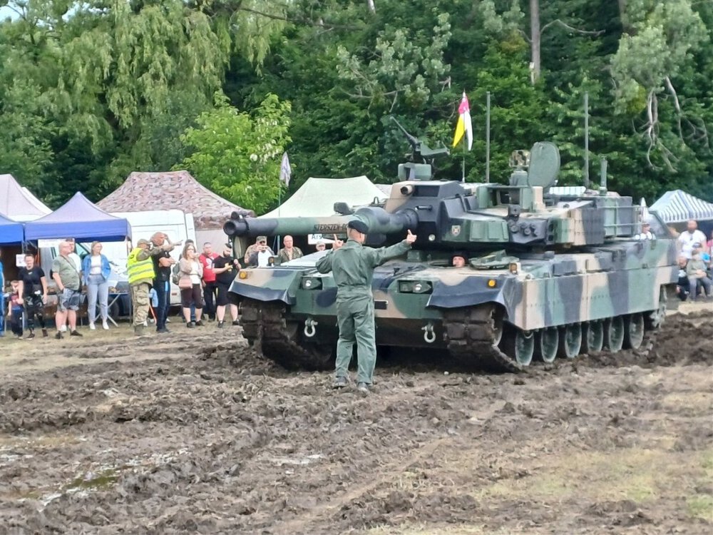 szerszeń 03c.jpg