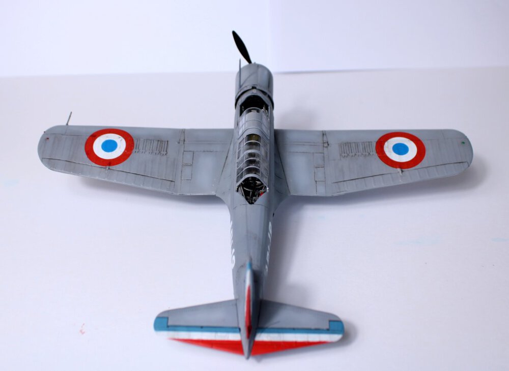 6187.jpg