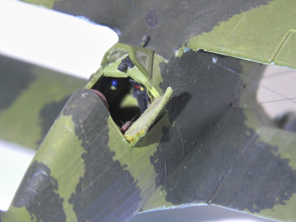 31.thumb.JPG.2ab336f4311e67b0c11fdf17af550415.JPG