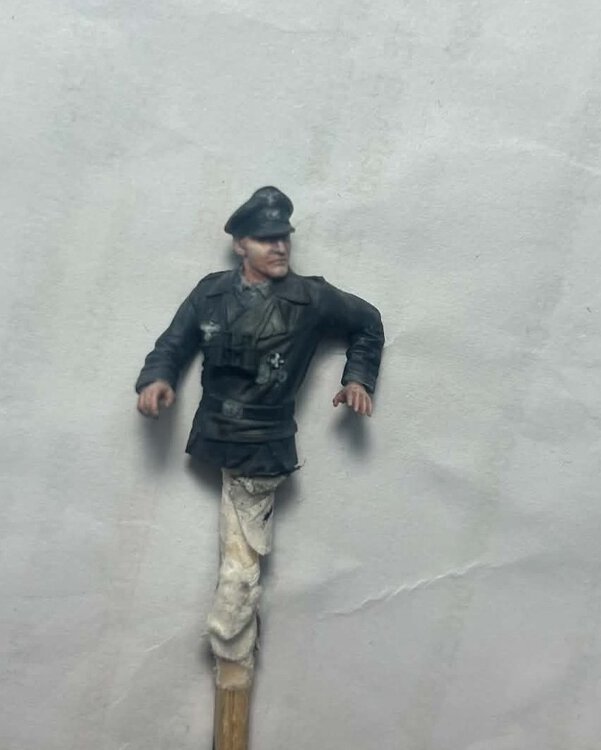 Bez nazwydggd.jpg