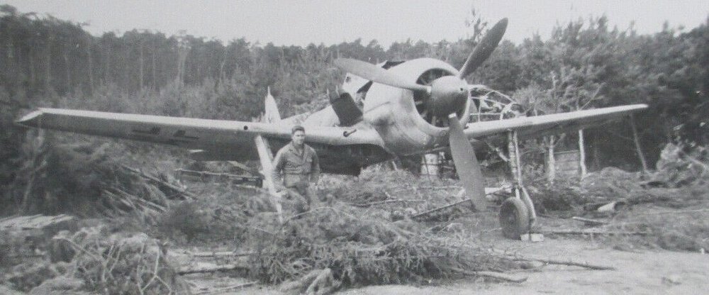 Fw-190-423.thumb.jpg.1029db7261b503bd5e58a651d61ea36f.jpg