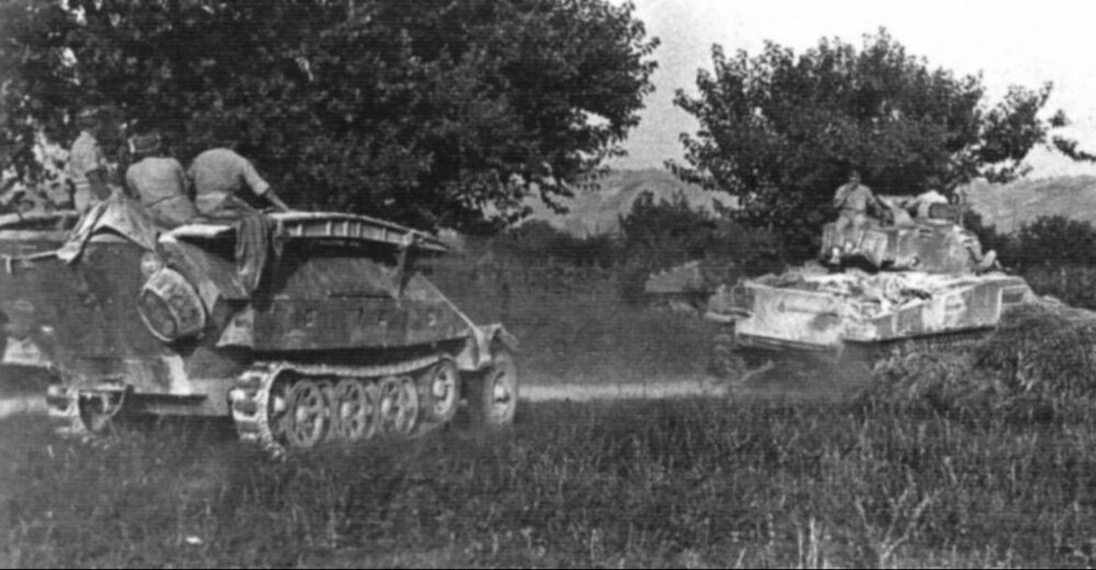 SdKfz 251 - P4P.jpg